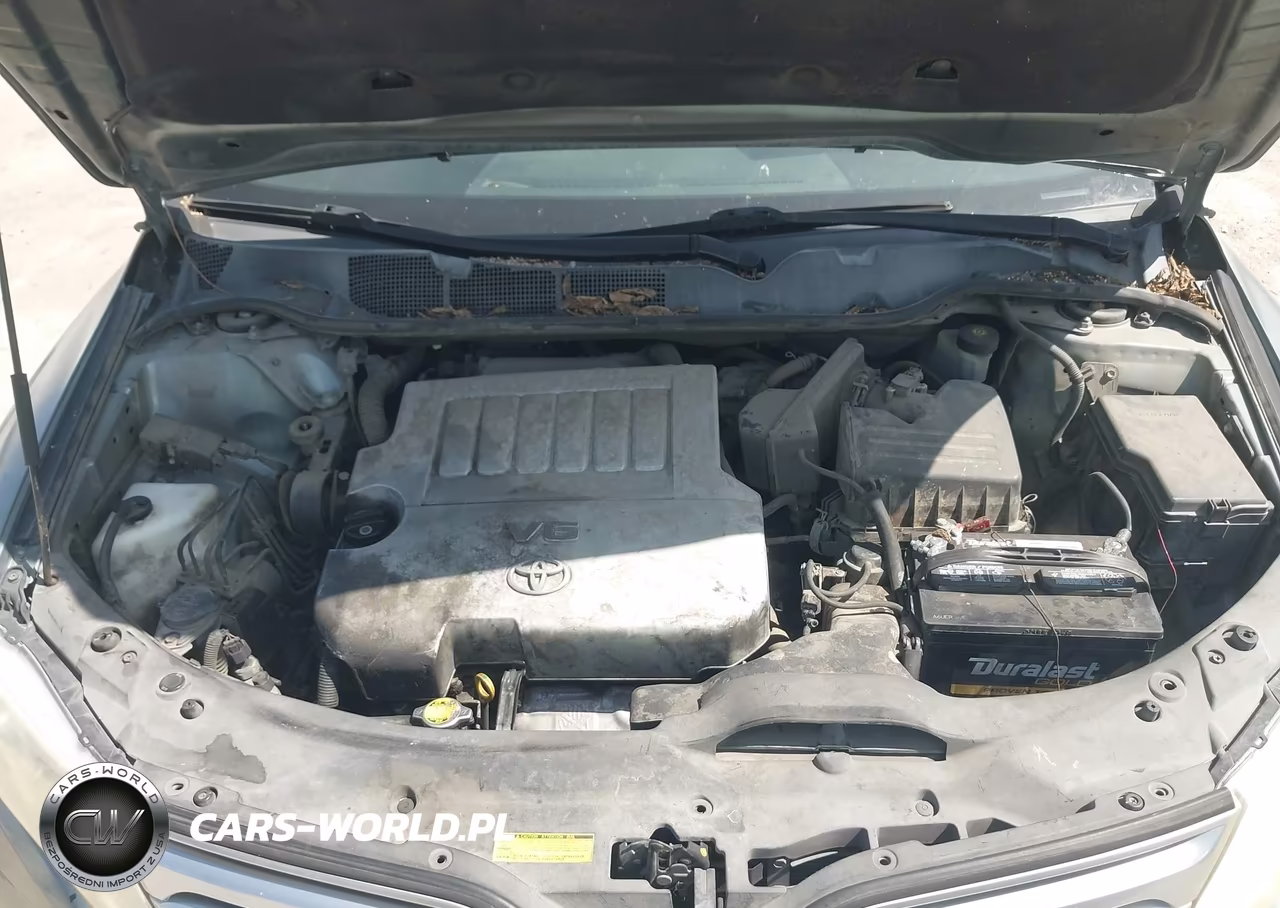 2010 Toyota Venza Base V6 VIN:4T3ZK3BB9AU025543 - 10