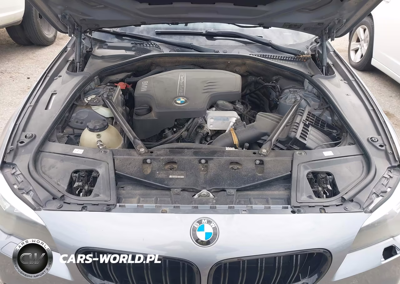 2014 BMW 528I VIN:WBA5A5C58ED506096 - 10
