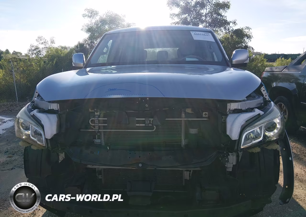 2015 Infiniti Qx80 VIN:JN8AZ2ND9F9771017 - 13