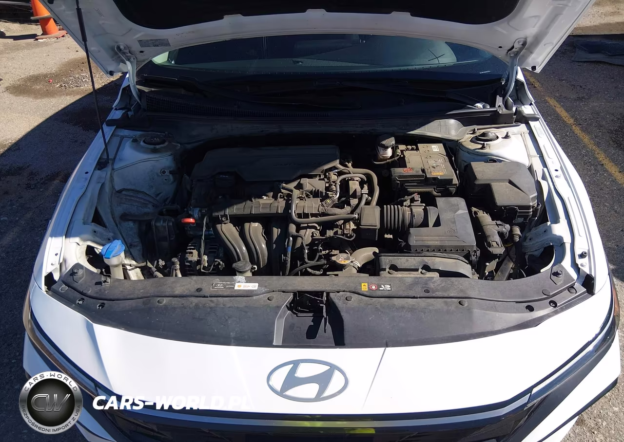 2024 Hyundai Elantra Sel VIN:KMHLS4DGXRU678116 - 10