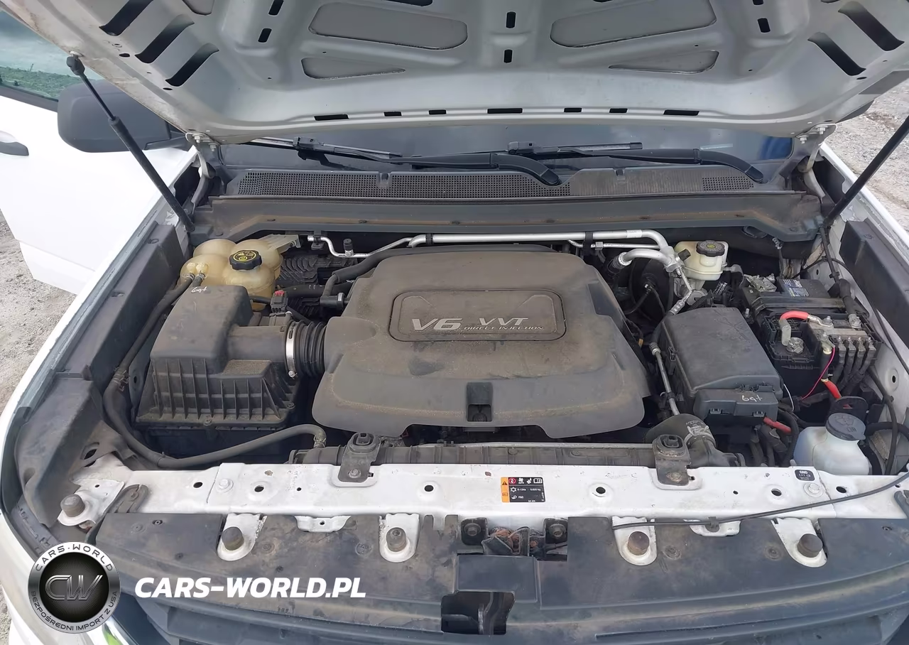 2015 Chevrolet Colorado 4Wd Wt VIN:1GCHTAE32F1249289 - 10