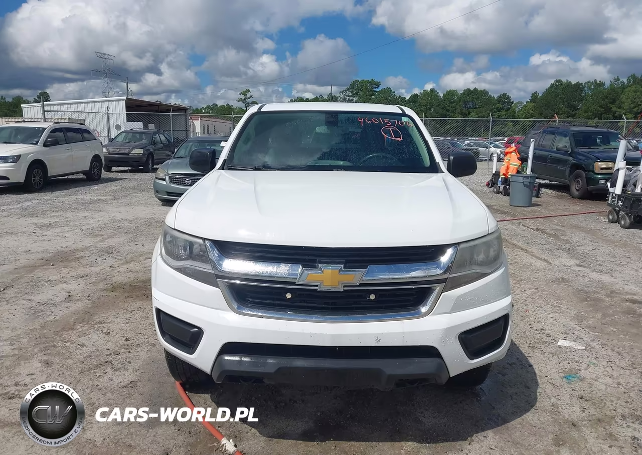 2015 Chevrolet Colorado 4Wd Wt VIN:1GCHTAE32F1249289 - 12