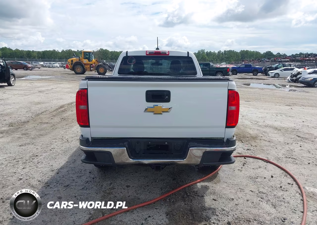 2015 Chevrolet Colorado 4Wd Wt VIN:1GCHTAE32F1249289 - 16