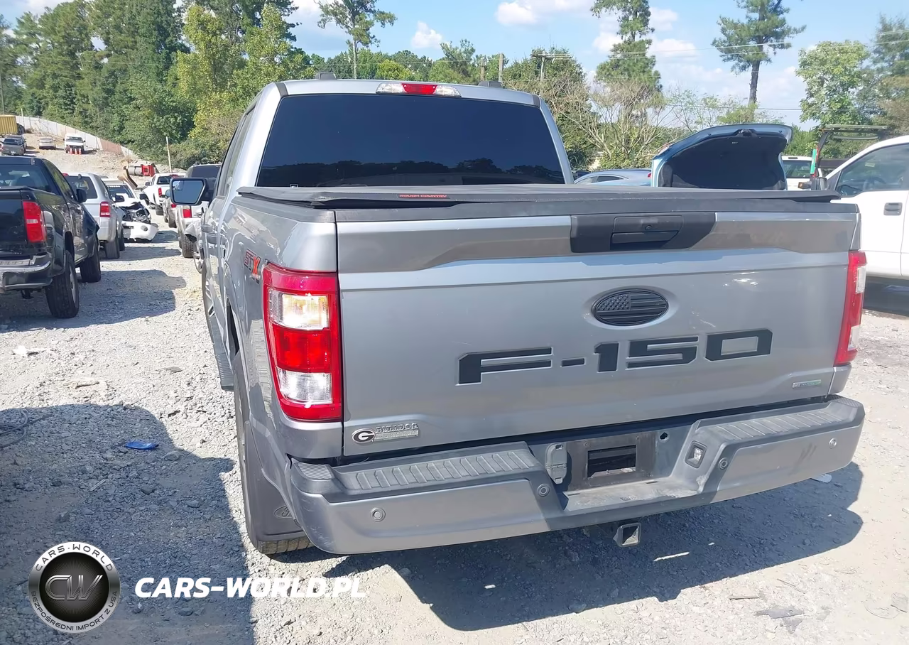 2021 Ford F-150 Xl VIN:1FTEW1CP7MKD53736 - 3