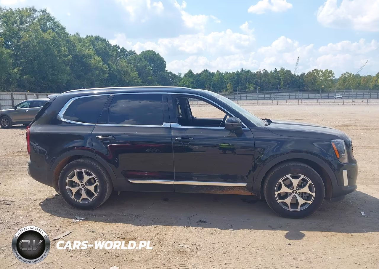 2020 Kia Telluride Ex VIN:5XYP34HCXLG041682 - 12
