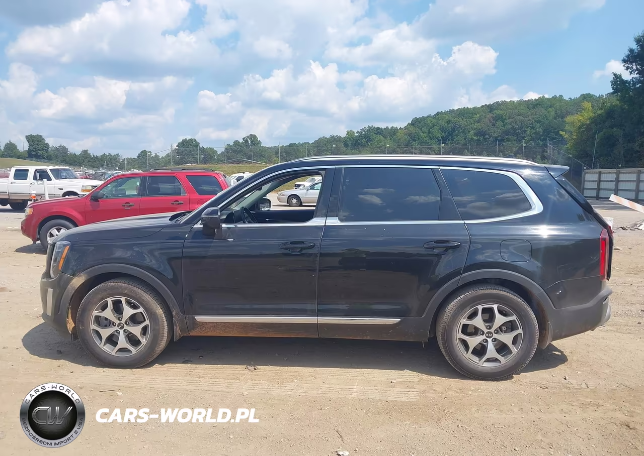 2020 Kia Telluride Ex VIN:5XYP34HCXLG041682 - 13