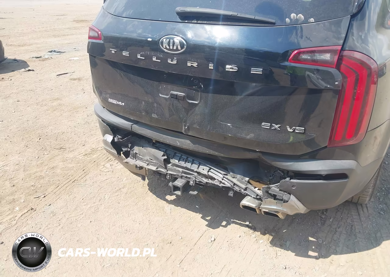 2020 Kia Telluride Ex VIN:5XYP34HCXLG041682 - 16