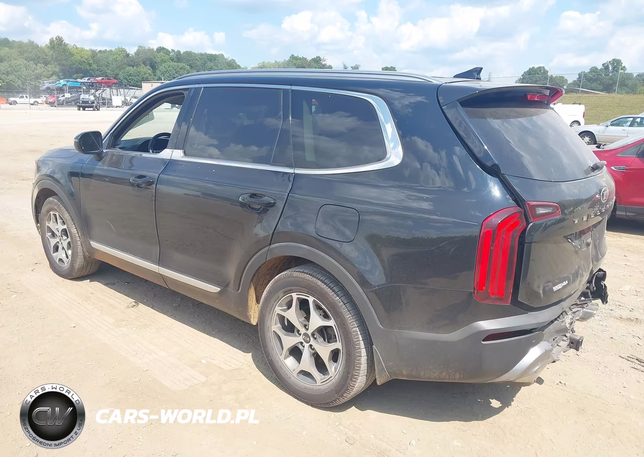 2020 Kia Telluride Ex VIN:5XYP34HCXLG041682 - 3