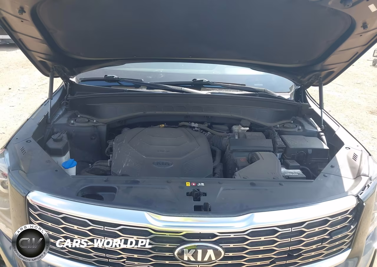 2020 Kia Telluride Ex VIN:5XYP34HCXLG041682 - 9