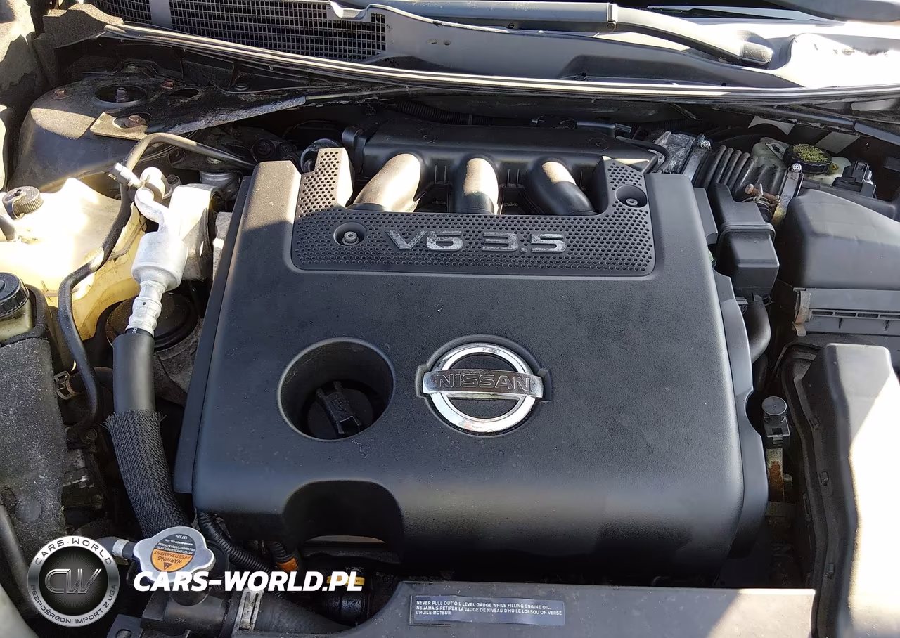 2014 Nissan Altima 3.5 Sl VIN:1N4BL3AP9EC295821 - 10