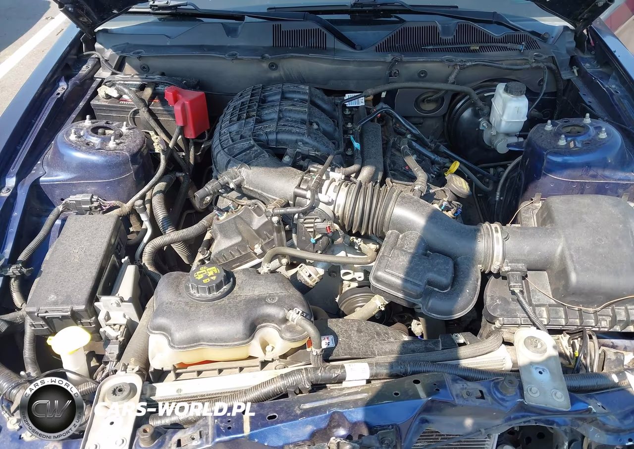 2012 Ford Mustang V6 VIN:1ZVBP8AMXC5258292 - 10