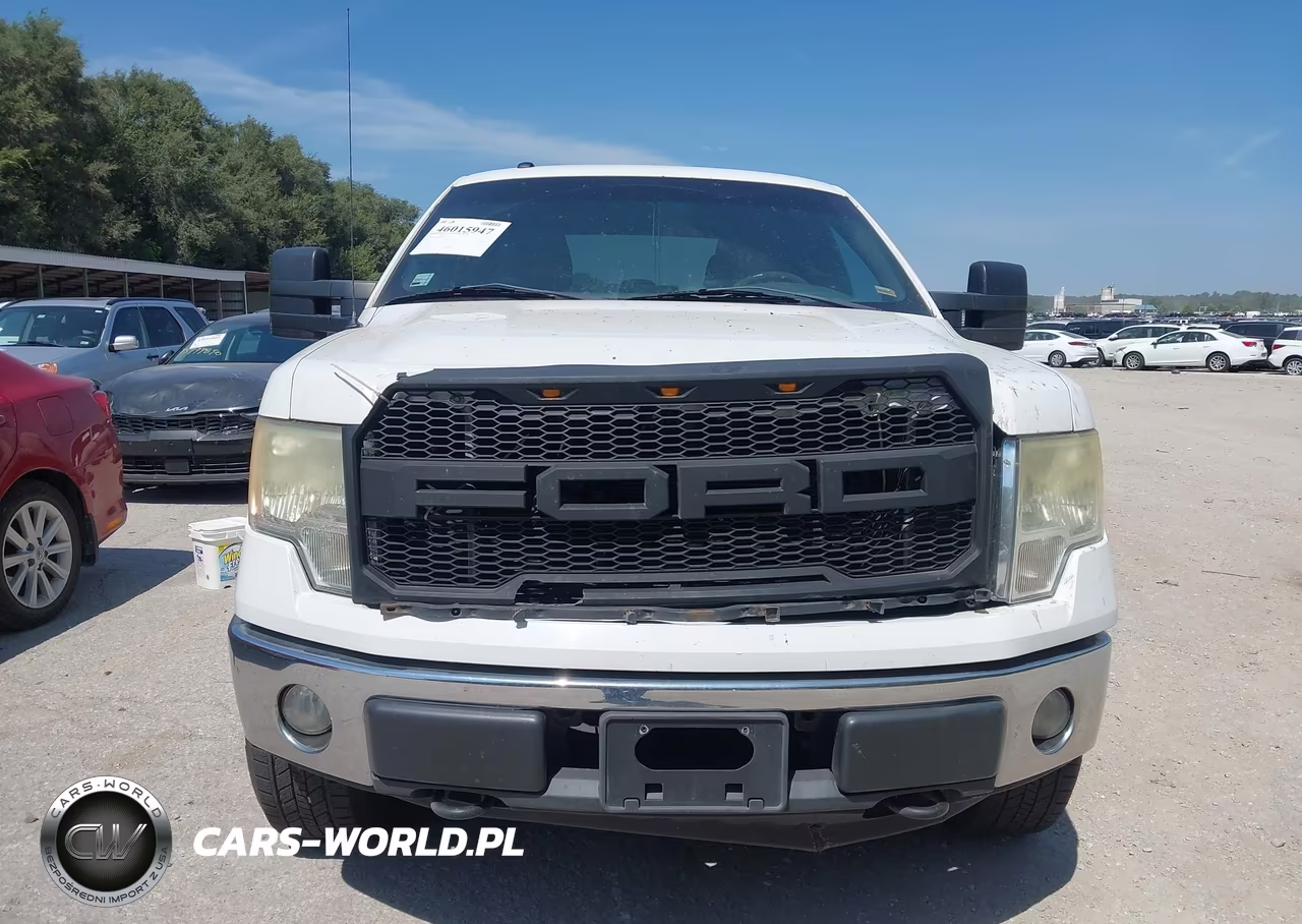 2011 Ford F-150 Xlt VIN:1FTFX1EF0BFB04562 - 12