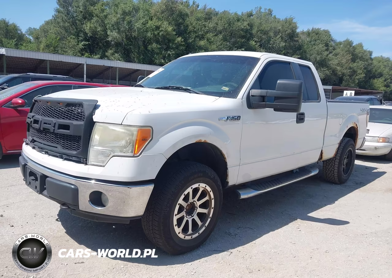 2011 Ford F-150 Xlt VIN:1FTFX1EF0BFB04562 - 2