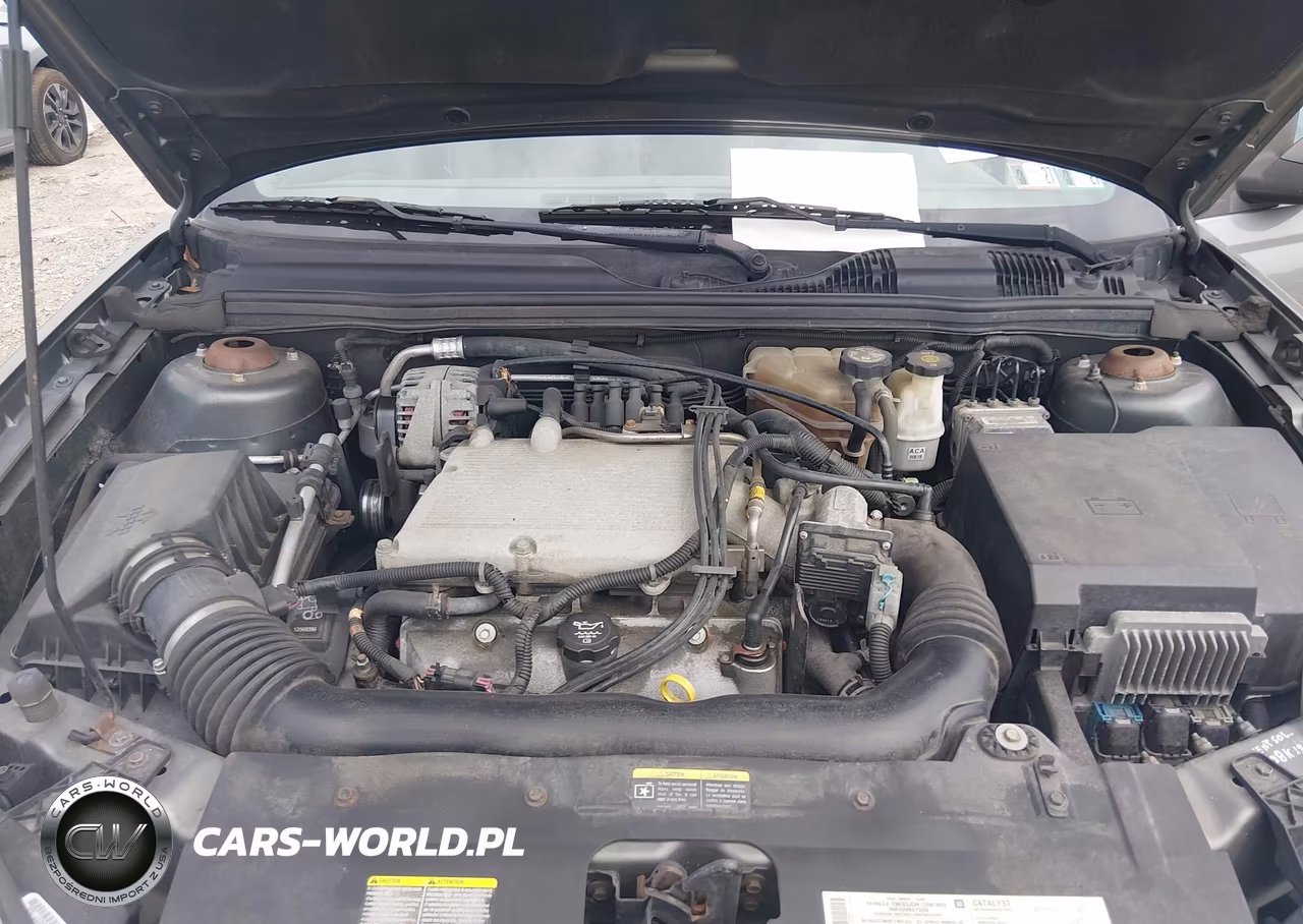 2004 Chevrolet Malibu Ls VIN:1G1ZT548X4F243659 - 10