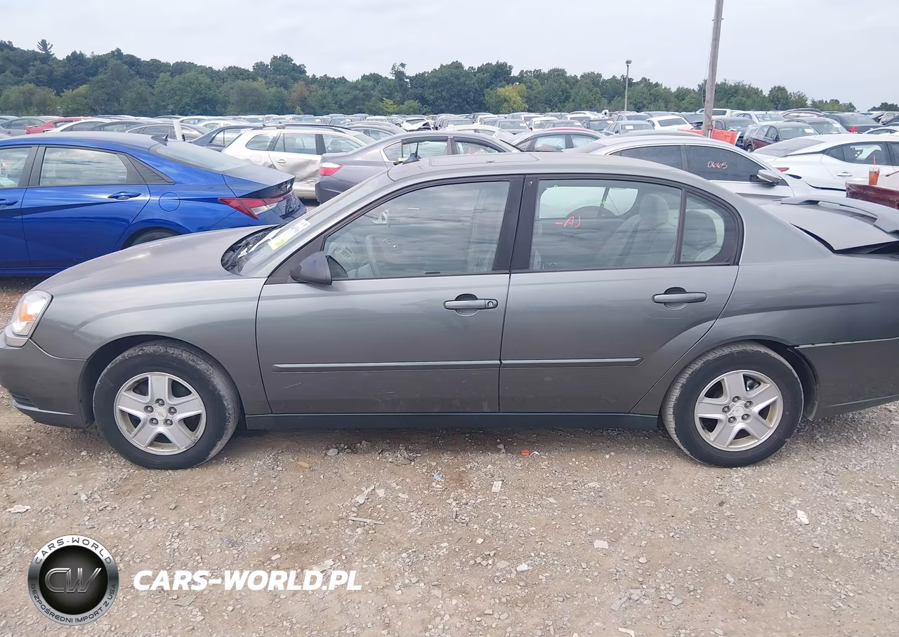 2004 Chevrolet Malibu Ls VIN:1G1ZT548X4F243659 - 14