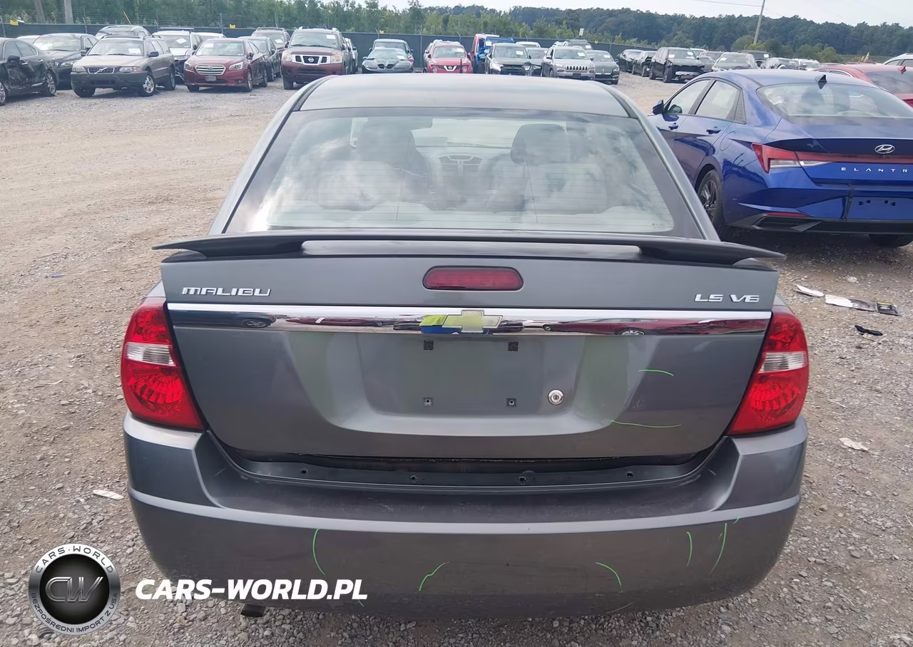 2004 Chevrolet Malibu Ls VIN:1G1ZT548X4F243659 - 16