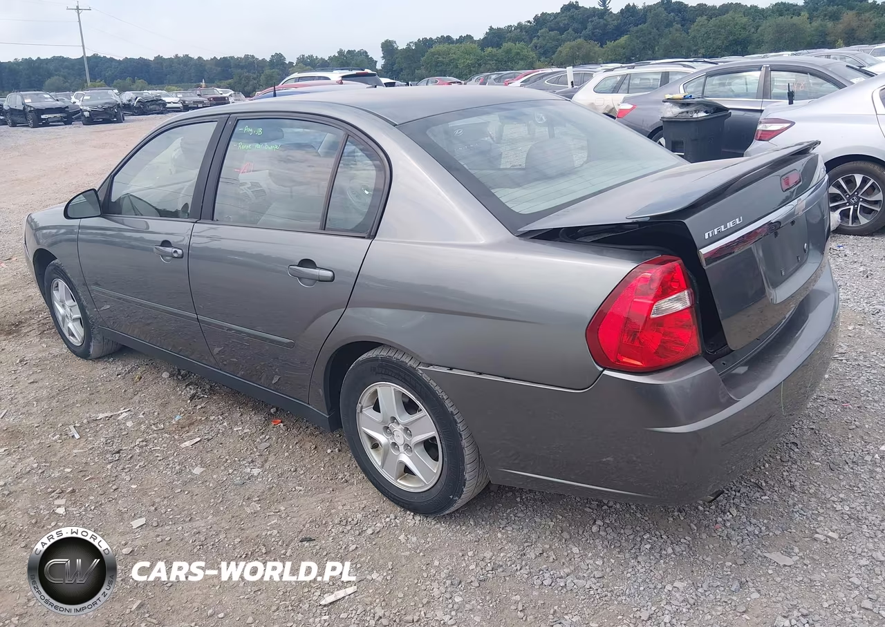 2004 Chevrolet Malibu Ls VIN:1G1ZT548X4F243659 - 3