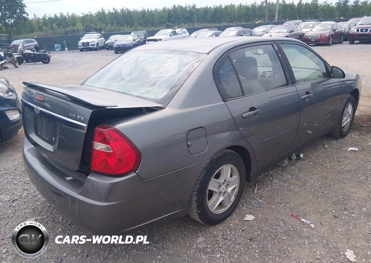 2004 Chevrolet Malibu Ls VIN:1G1ZT548X4F243659 - 4