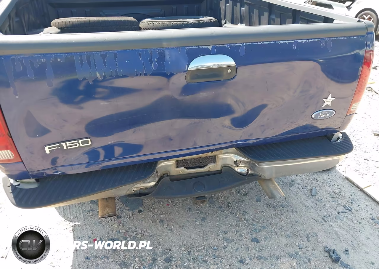 1998 Ford F-150 Lariat-Standard-Xl-Xlt VIN:1FTZX1762WNB68396 - 12