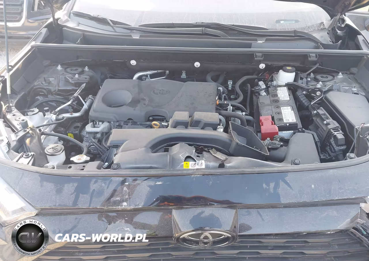 2023 Toyota Rav4 Xle VIN:2T3W1RFV5PW266716 - 10