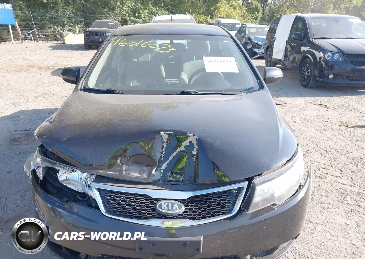 2013 Kia Forte Ex VIN:KNAFU4A29D5709750 - 12