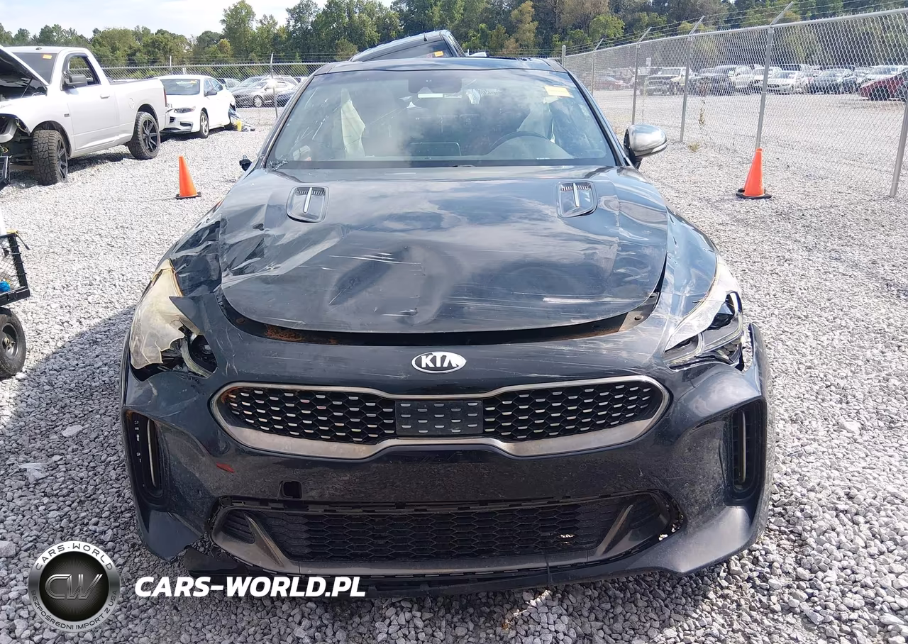 2018 Kia Stinger Gt1 VIN:KNAE45LC3J6018145 - 12