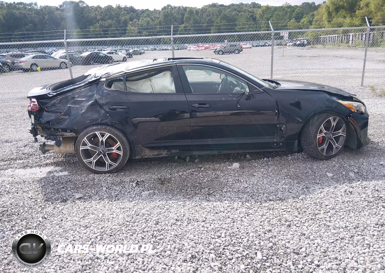2018 Kia Stinger Gt1 VIN:KNAE45LC3J6018145 - 13