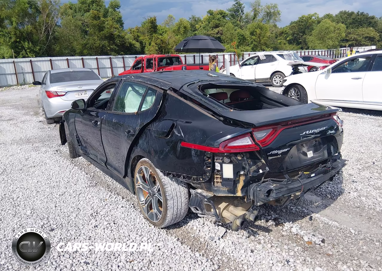 2018 Kia Stinger Gt1 VIN:KNAE45LC3J6018145 - 3