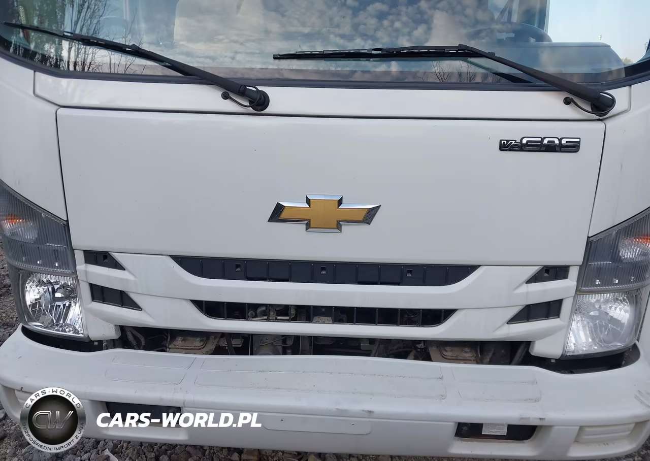 2020 Chevrolet 4500 Lcf Gas VIN:54DCDJ1D8LS209225 - 10