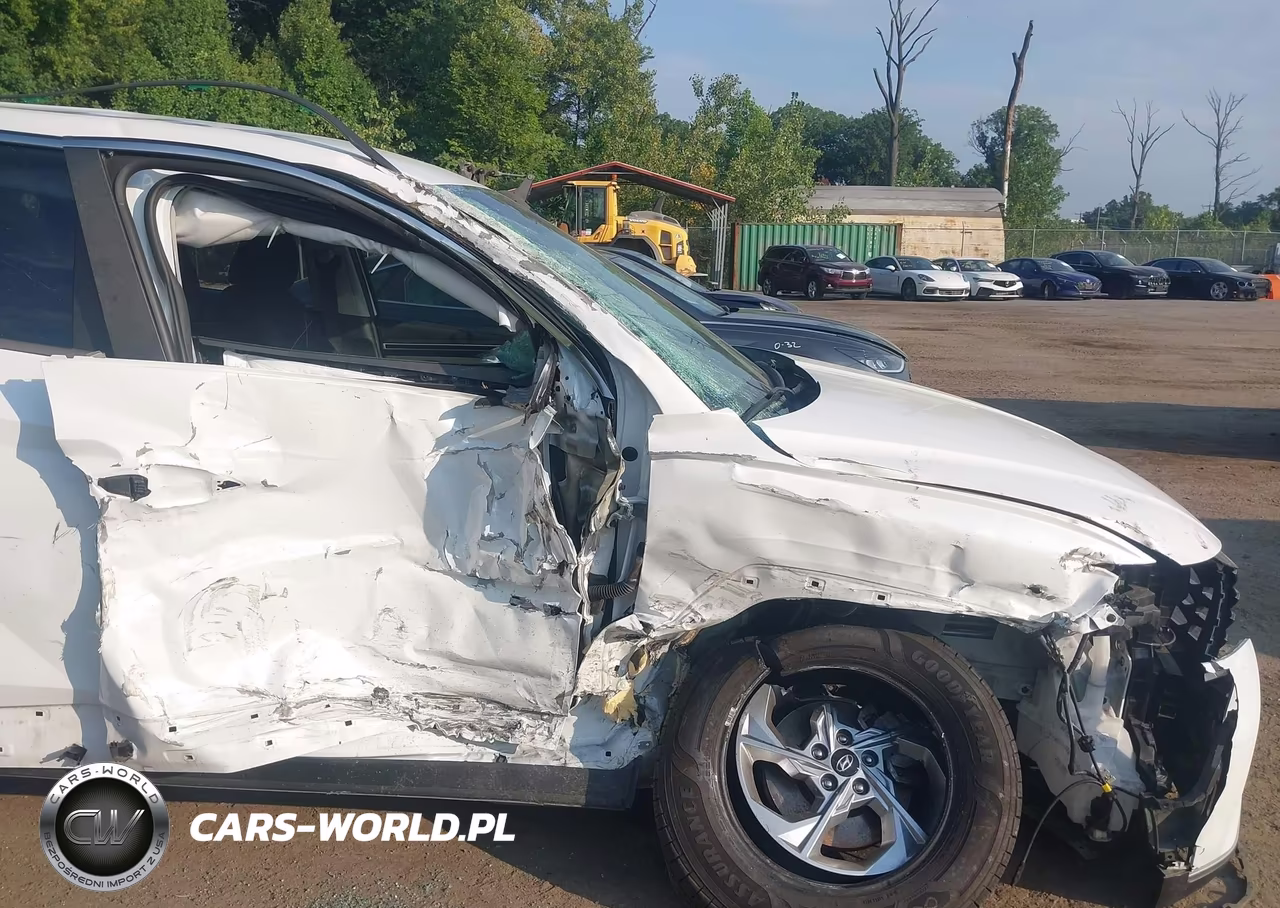 2022 Hyundai Tucson Se VIN:5NMJACAE7NH069448 - 6