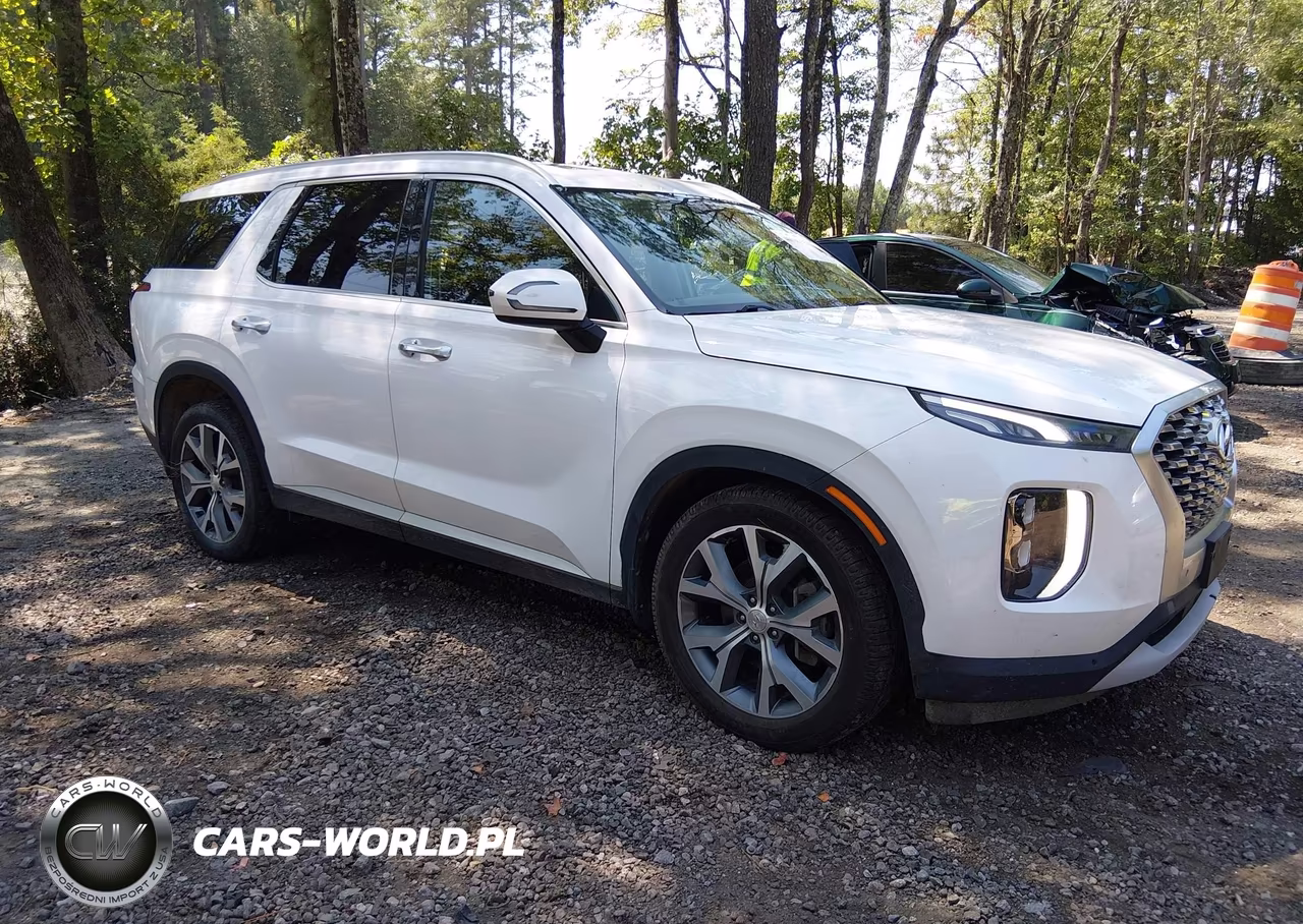 2020 Hyundai Palisade Sel VIN:KM8R44HE1LU083594 - 1