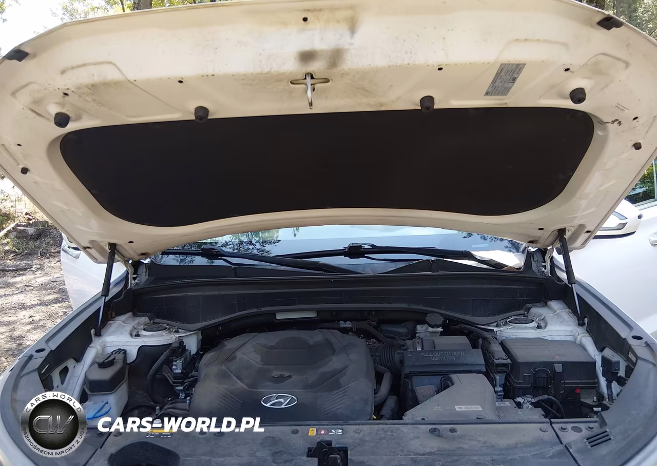 2020 Hyundai Palisade Sel VIN:KM8R44HE1LU083594 - 10