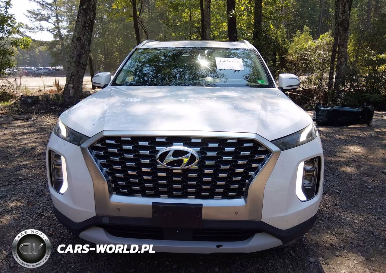 2020 Hyundai Palisade Sel VIN:KM8R44HE1LU083594 - 12