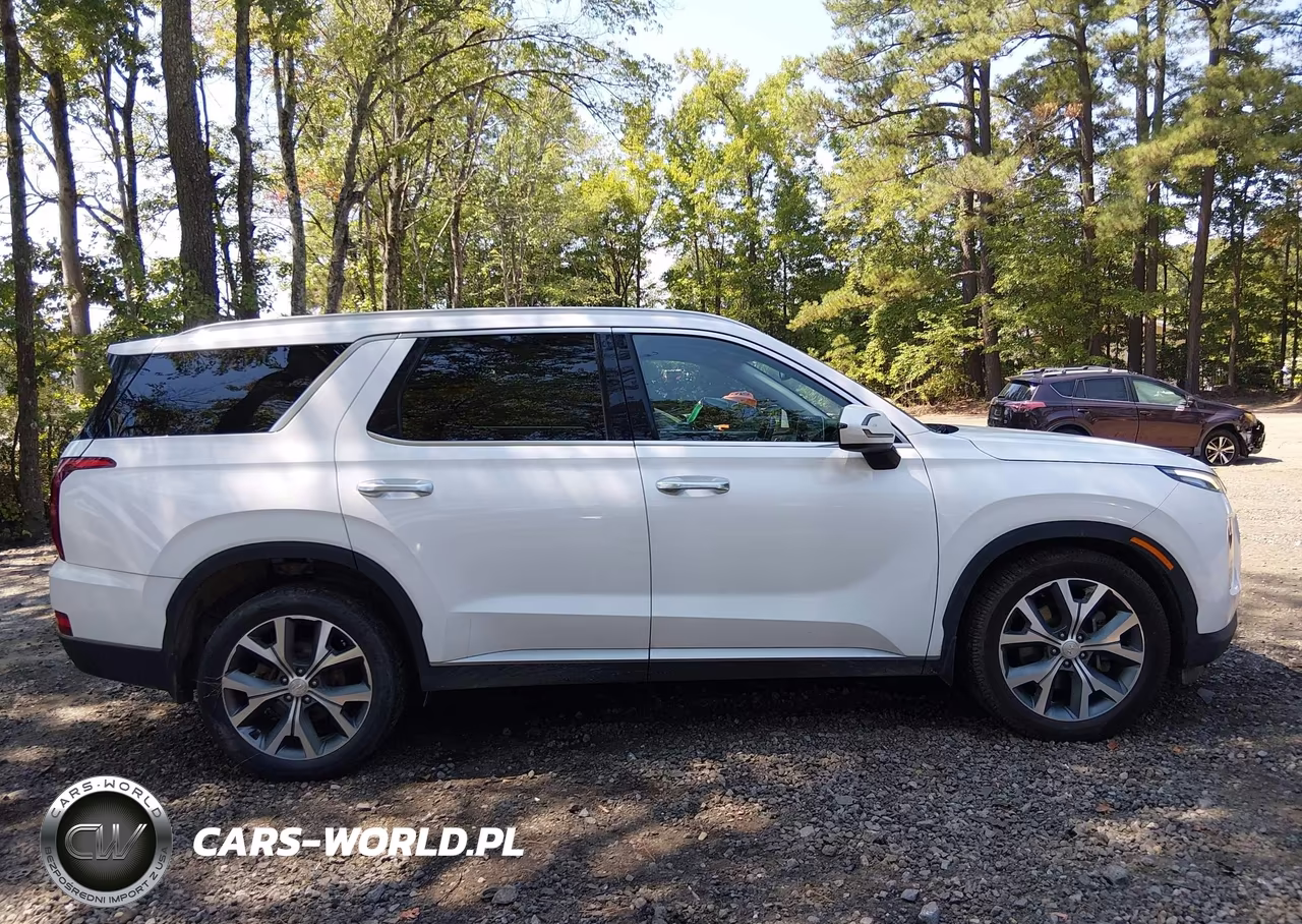 2020 Hyundai Palisade Sel VIN:KM8R44HE1LU083594 - 13