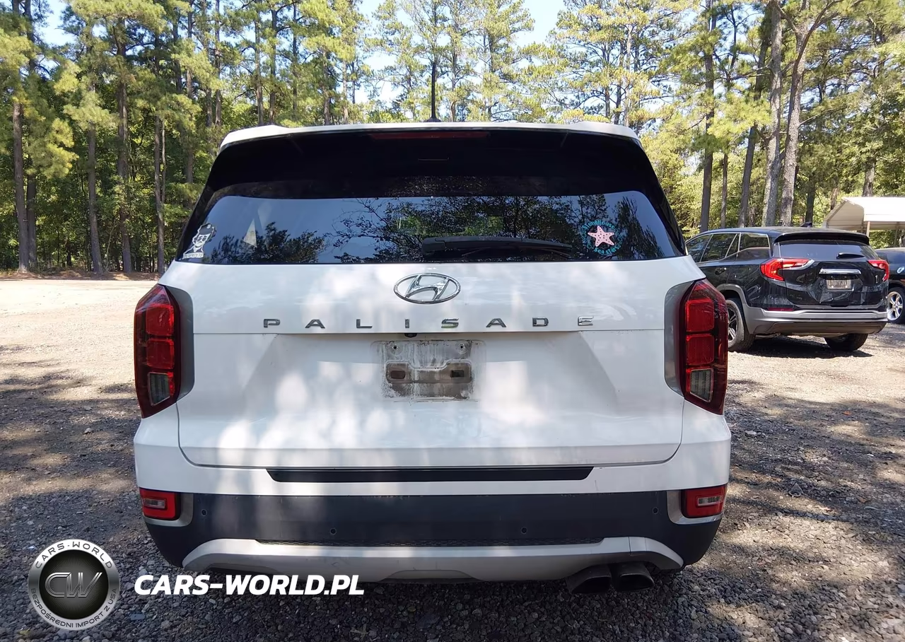 2020 Hyundai Palisade Sel VIN:KM8R44HE1LU083594 - 16