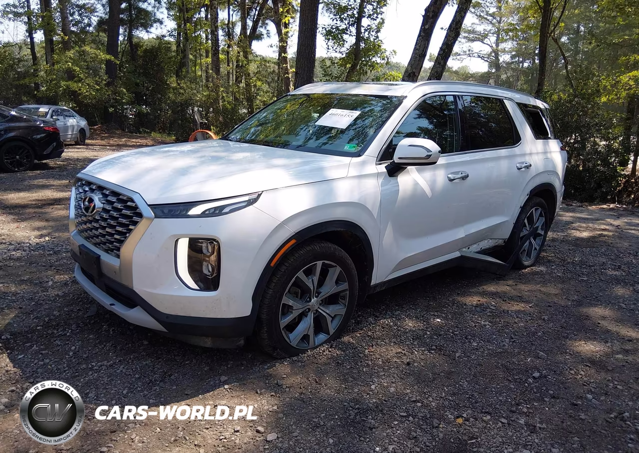 2020 Hyundai Palisade Sel VIN:KM8R44HE1LU083594 - 2
