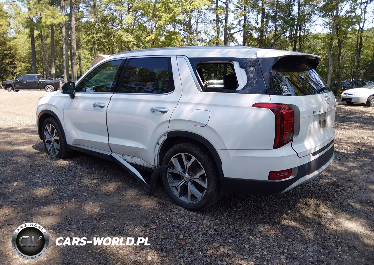 2020 Hyundai Palisade Sel VIN:KM8R44HE1LU083594 - 3