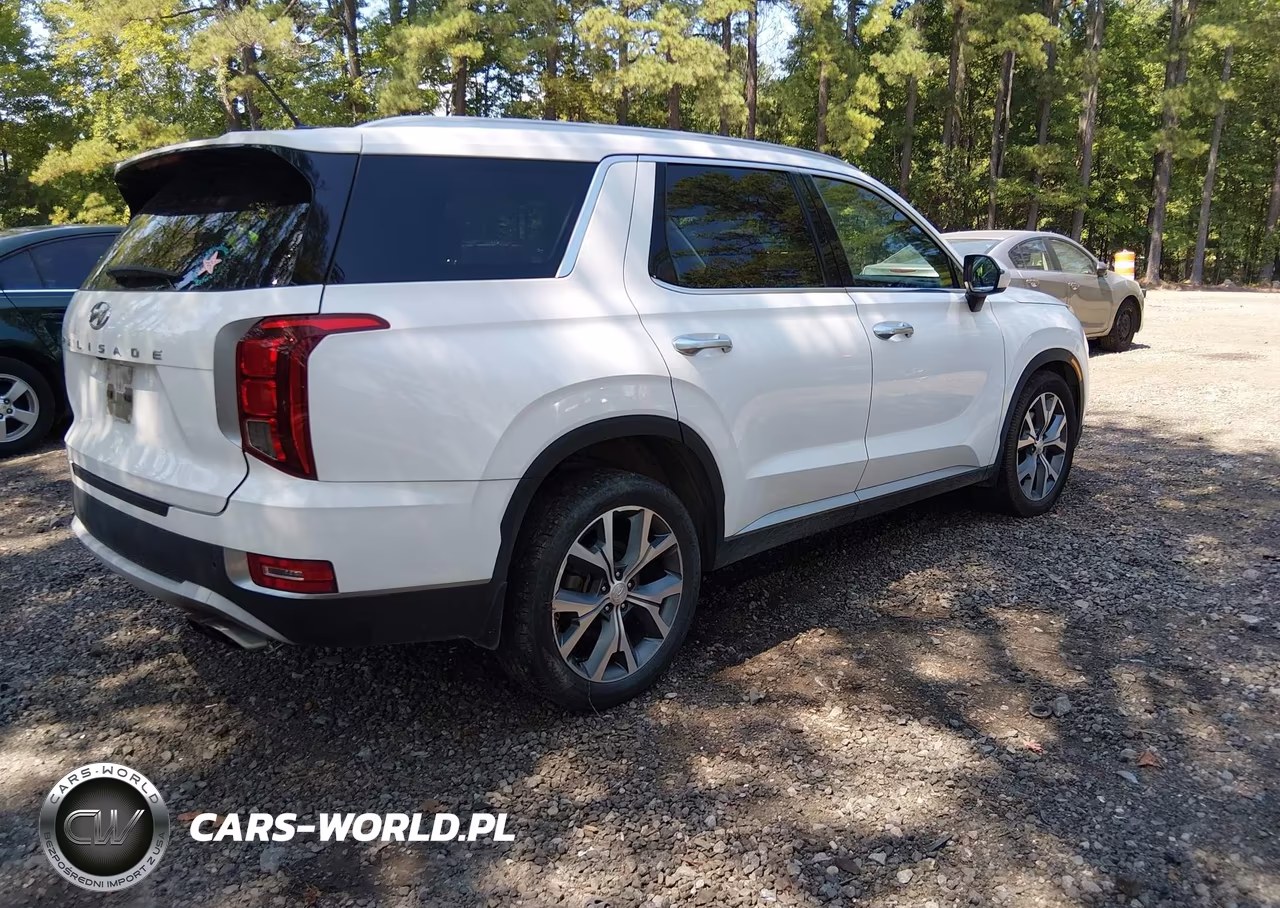 2020 Hyundai Palisade Sel VIN:KM8R44HE1LU083594 - 4