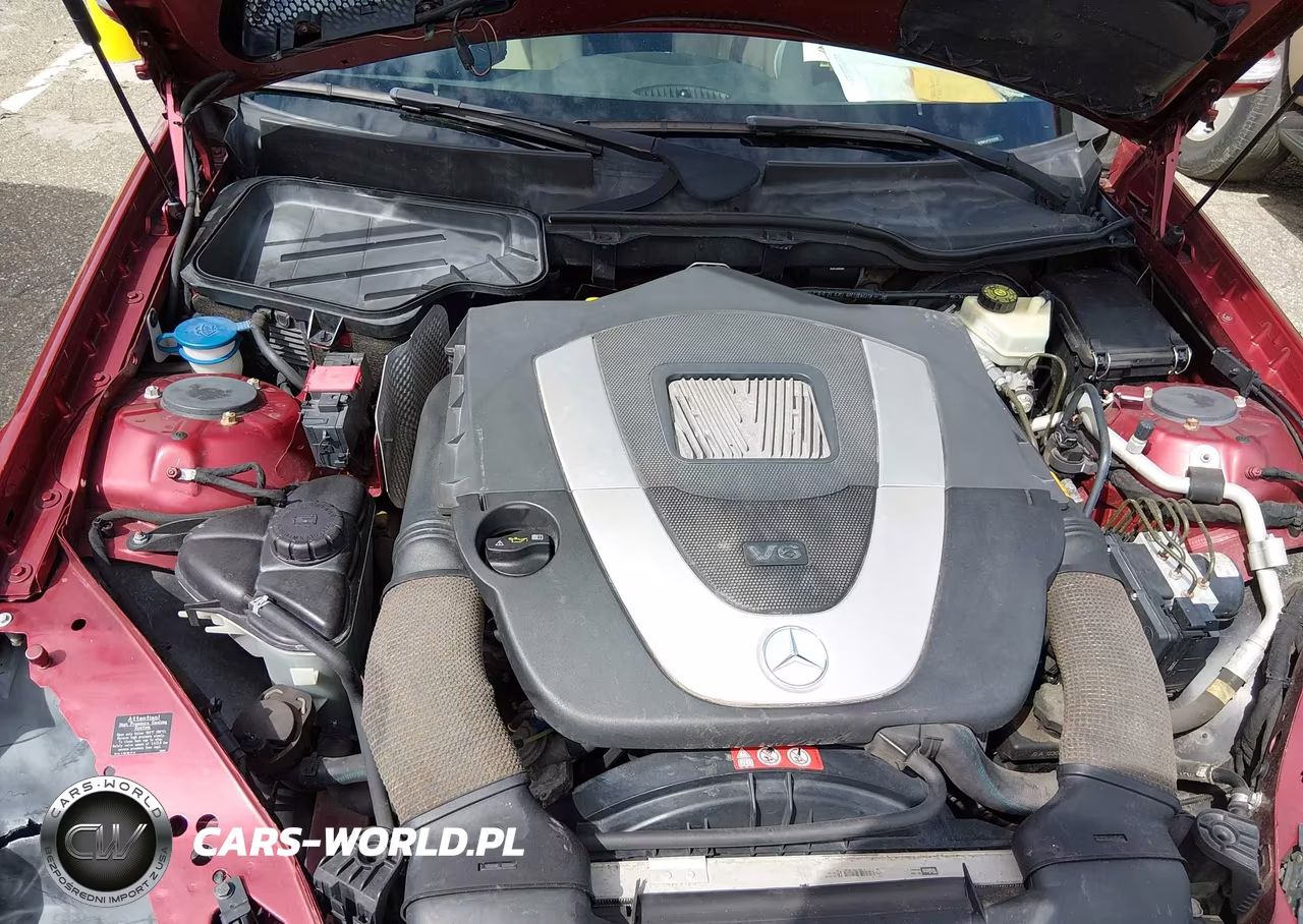 MERCEDES-BENZ SLK 350 VIN:WDBWK56F25F053055 - 10