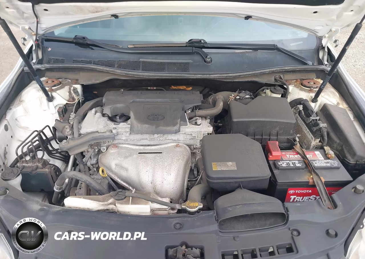 2015 Toyota Camry Se VIN:4T1BF1FK9FU115442 - 10