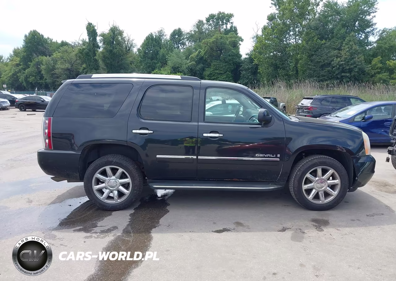 2009 GMC Yukon Denali VIN:1GKFK03299J101079 - 13
