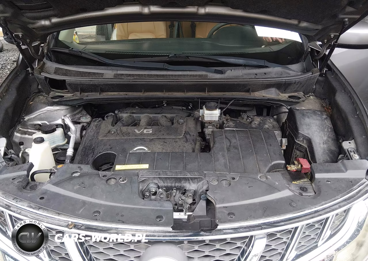 2011 Nissan Murano Crosscabriolet VIN:JN8AZ1FY3BW000690 - 10