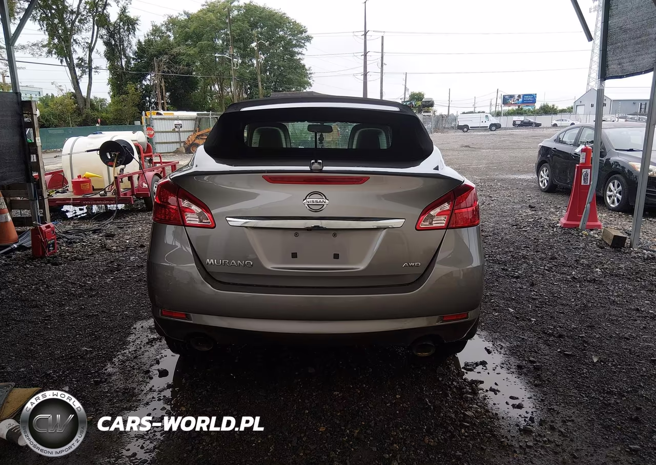 2011 Nissan Murano Crosscabriolet VIN:JN8AZ1FY3BW000690 - 16