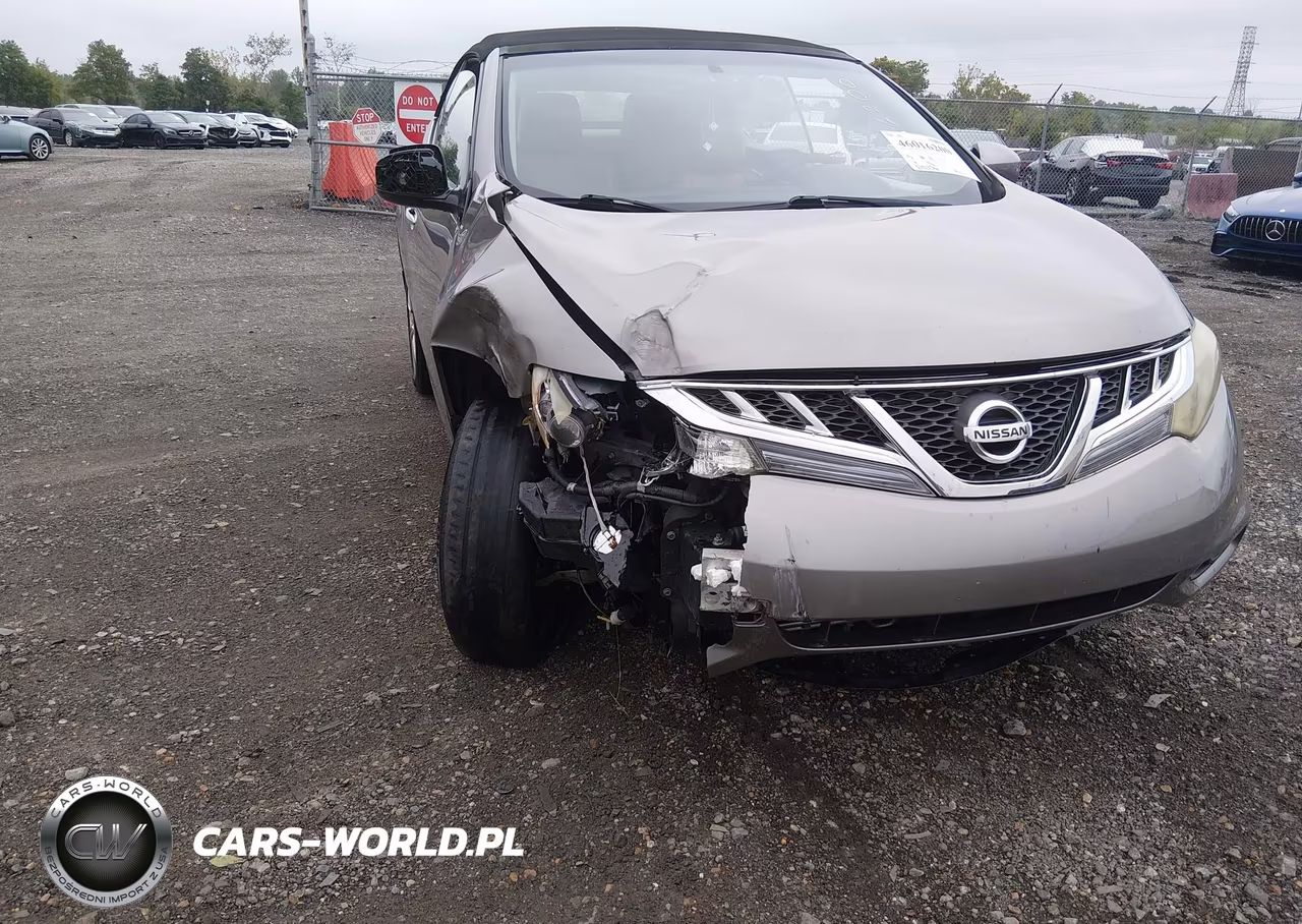 2011 Nissan Murano Crosscabriolet VIN:JN8AZ1FY3BW000690 - 17