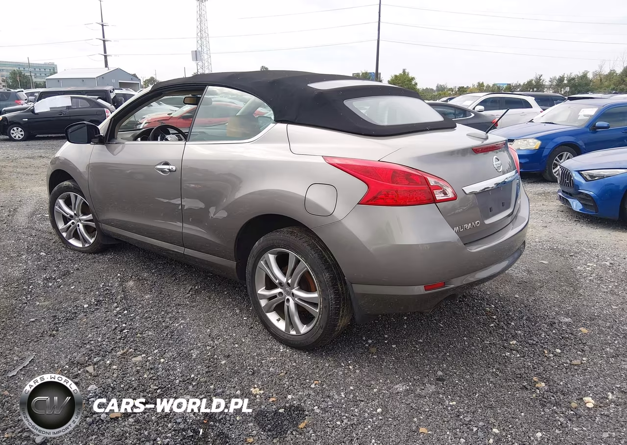 2011 Nissan Murano Crosscabriolet VIN:JN8AZ1FY3BW000690 - 3