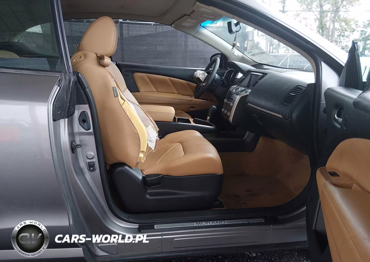 2011 Nissan Murano Crosscabriolet VIN:JN8AZ1FY3BW000690 - 5