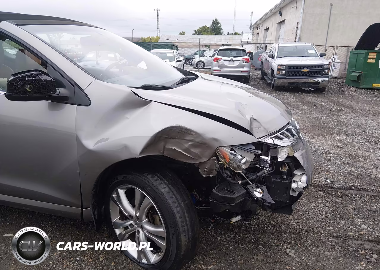 2011 Nissan Murano Crosscabriolet VIN:JN8AZ1FY3BW000690 - 6