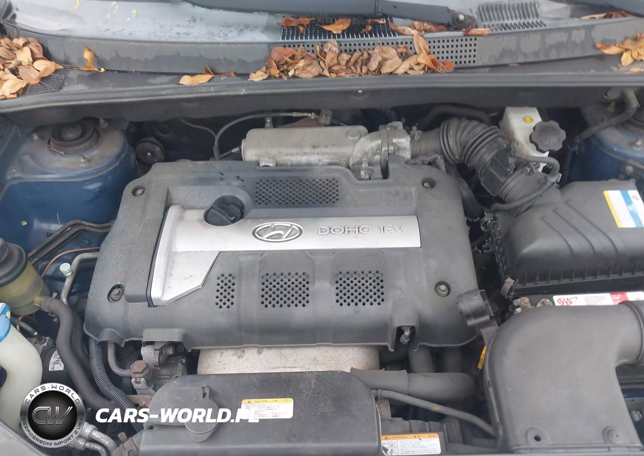 2007 Hyundai Tucson Gls VIN:KM8JM12B67U555076 - 10