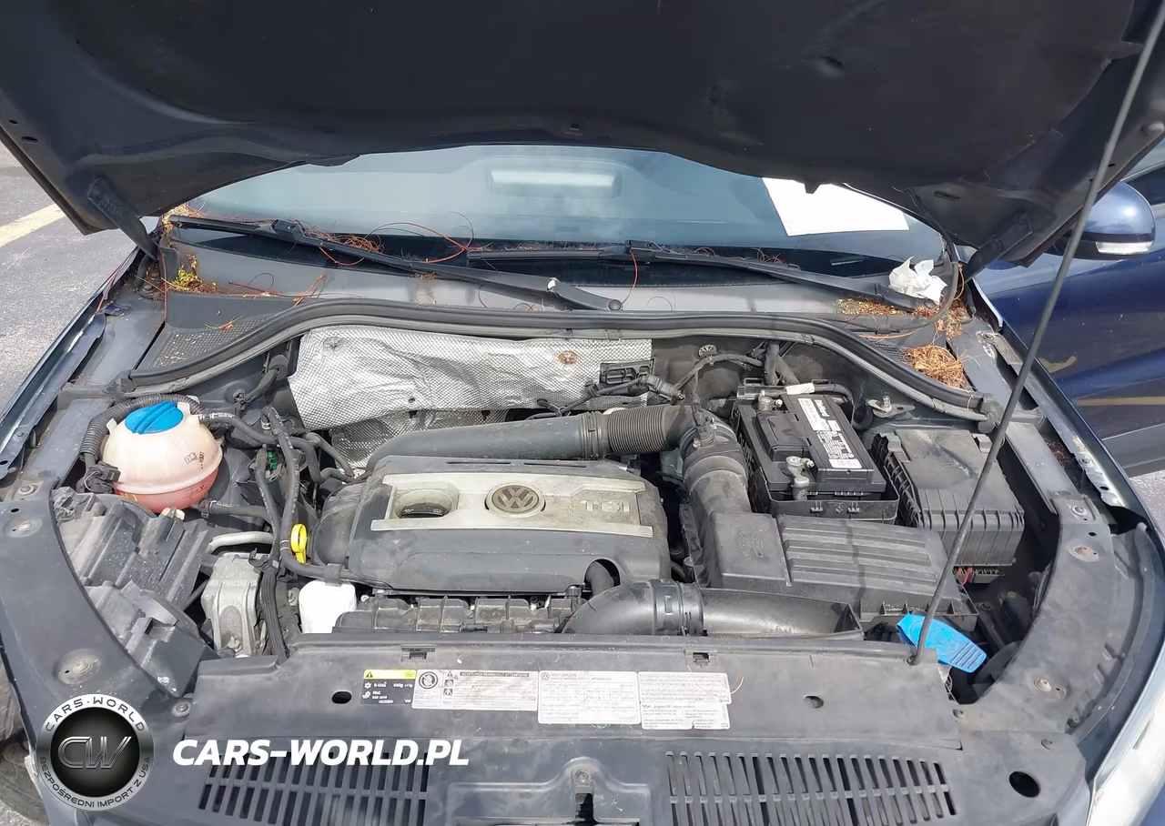 2016 Volkswagen Tiguan S VIN:WVGBV7AX5GW565183 - 10