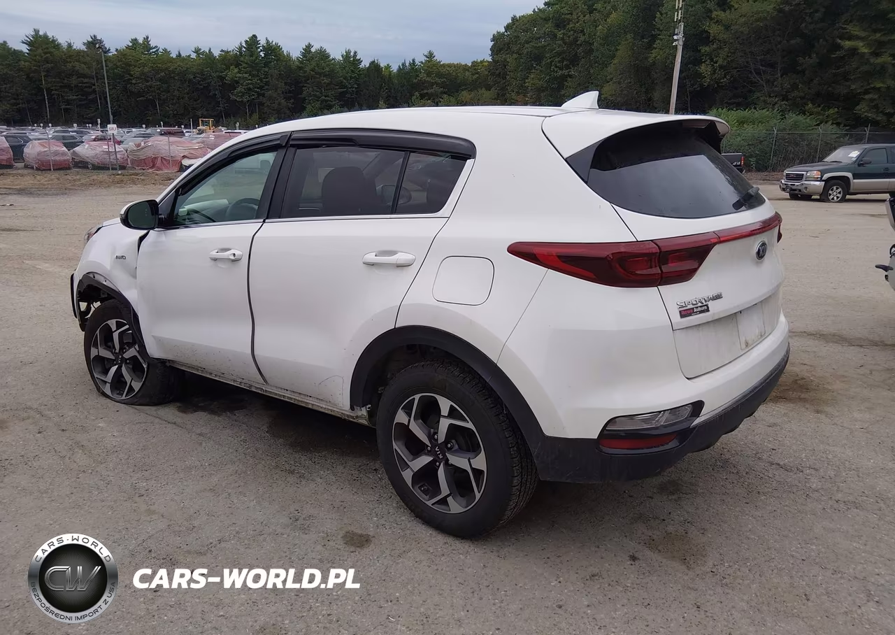 2020 Kia Sportage Lx VIN:KNDPMCAC0L7663481 - 3
